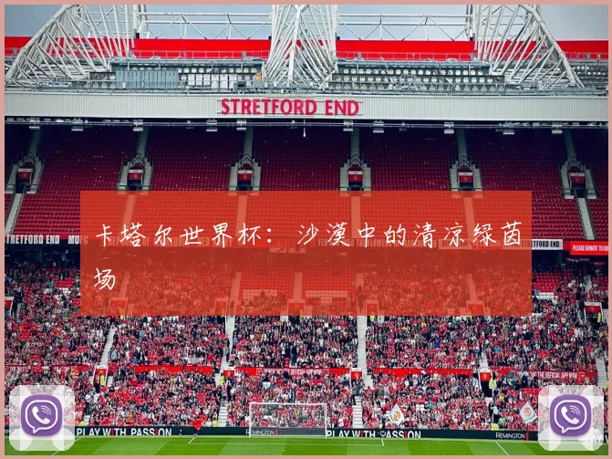 卡塔尔世界杯：沙漠中的清凉绿茵场