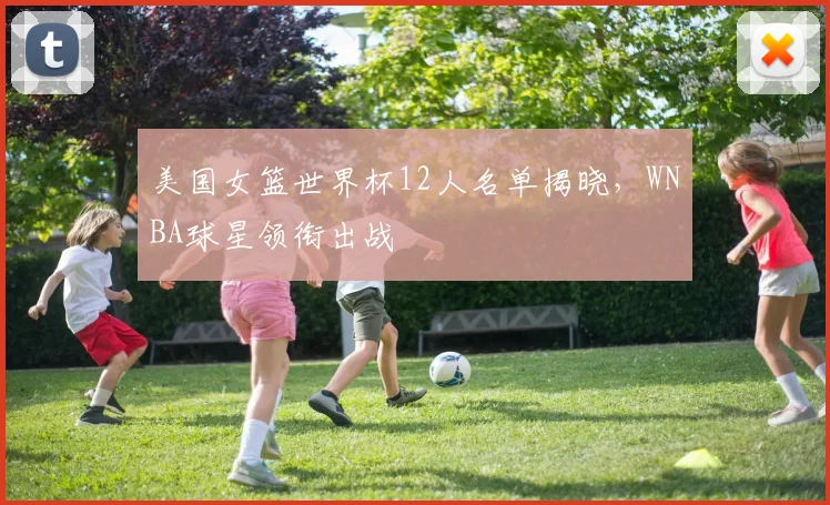 美国女篮世界杯12人名单揭晓，WNBA球星领衔出战